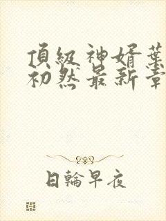 顶级神婿叶辰萧初然最新章节