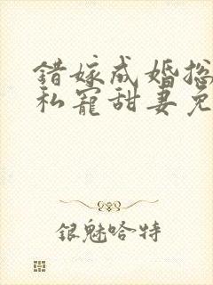 错嫁成婚总裁的私宠甜妻免费