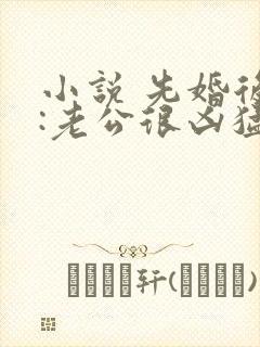 小说 先婚后爱:老公很凶猛