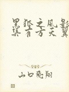 黑狐之风影第几集有方天翼