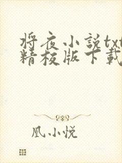 将夜小说txt精校版下载