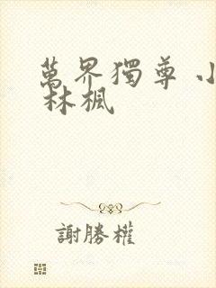 万界独尊 小说 林枫