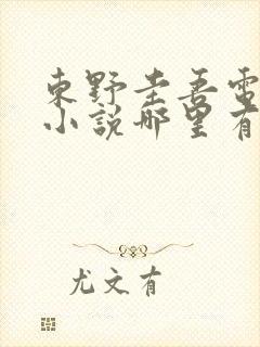 东野圭吾电子版小说哪里有