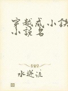 穿越成小铁匠的小说名