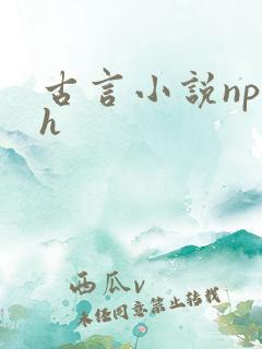 古言小说np高h