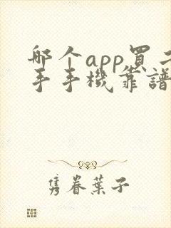 哪个app买二手手机靠谱