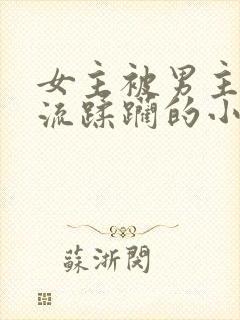 女主被男主们轮流蹂躏的小说