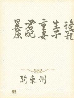 暴君重生后,将原配妻子宠上天