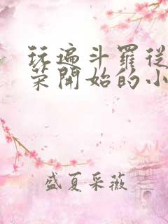 玩遍斗罗从宁荣荣开始的小说