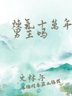 炼气十万年是双男主吗