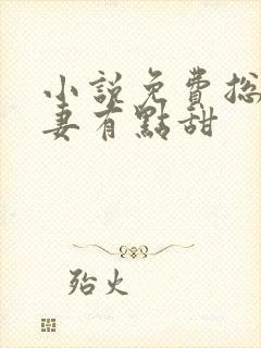 小说免费总裁追妻有点甜