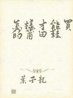 怎样才能买到好的莆田鞋