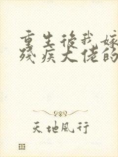 重生后我嫁给了残疾大佬的小说