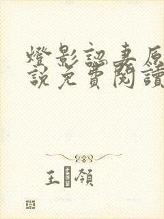 灯影认妻原著小说免费阅读