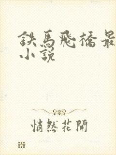 铁马飞桥最火的小说