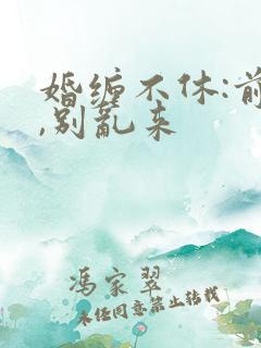 婚缠不休:前夫,别乱来