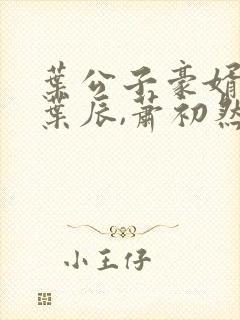 叶公子豪婿无双叶辰,萧初然