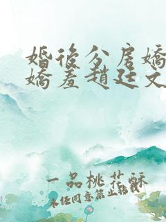 婚后分房娇夫别娇羞赵廷文小说