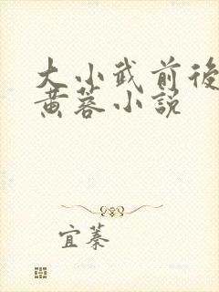 大小武前后夹击黄蓉小说