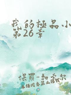 我的极品小姨 第26章