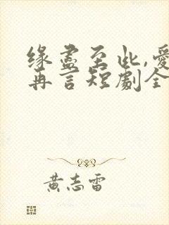 缘尽至此,爱不再言短剧全集免费看