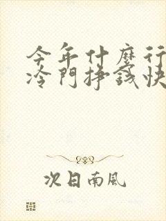 今年什么行业最冷门挣钱快