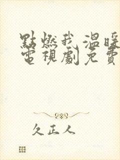 点燃我温暖你的电视剧免费观看全集