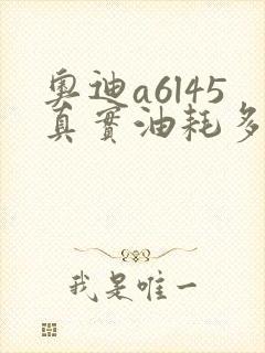 奥迪a6l45真实油耗多少