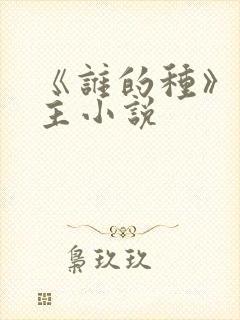 《谁的种》双男主小说