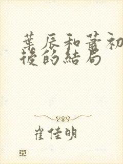 叶辰和萧初然最后的结局