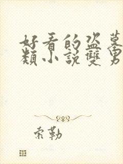 好看的盗墓探险类小说双男主