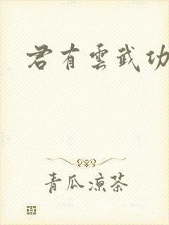 君有云武功排名