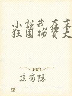 小说我在末世疯狂囤物资大结局