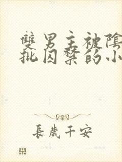 双男主被阴郁疯批囚禁的小说