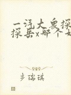 一汽大众探岳与探岳x哪个好