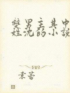 双男主其中一个姓沈的小说