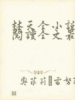 林天全小说免费阅读全文最新章节