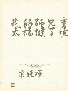 我的师兄实在是太稳健了境界排行