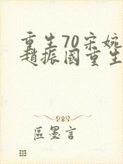 重生70宋婉清赵振国重生文