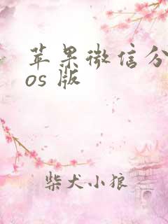 苹果微信分身ios 版