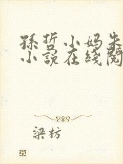 孙哲小妈朱颜的小说在线阅读