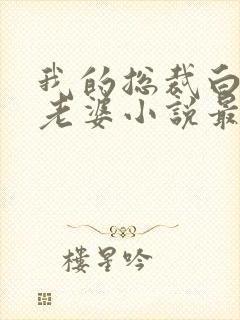 我的总裁白富美老婆小说最新更新