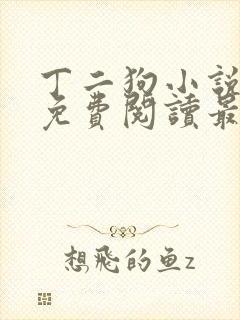 丁二狗小说全文免费阅读最新章节更新
