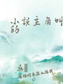 小说主角叫叶凡的