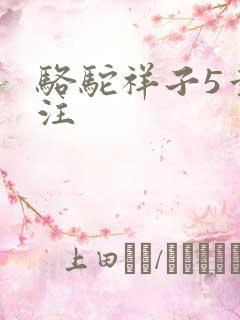 骆驼祥子5章批注