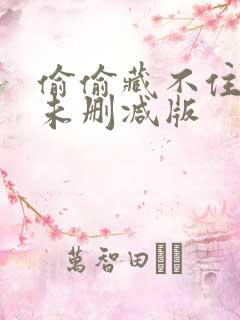 偷偷藏不住小说未删减版