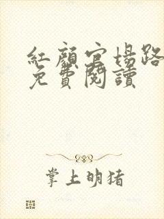 红颜官场路小说免费阅读