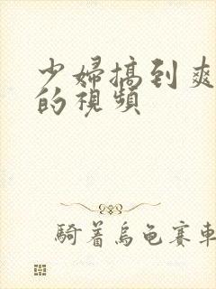 少妇搞到爽高潮的视频