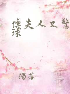 傅夫人又惊艳全球