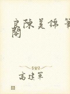 良陈美锦 笔趣阁